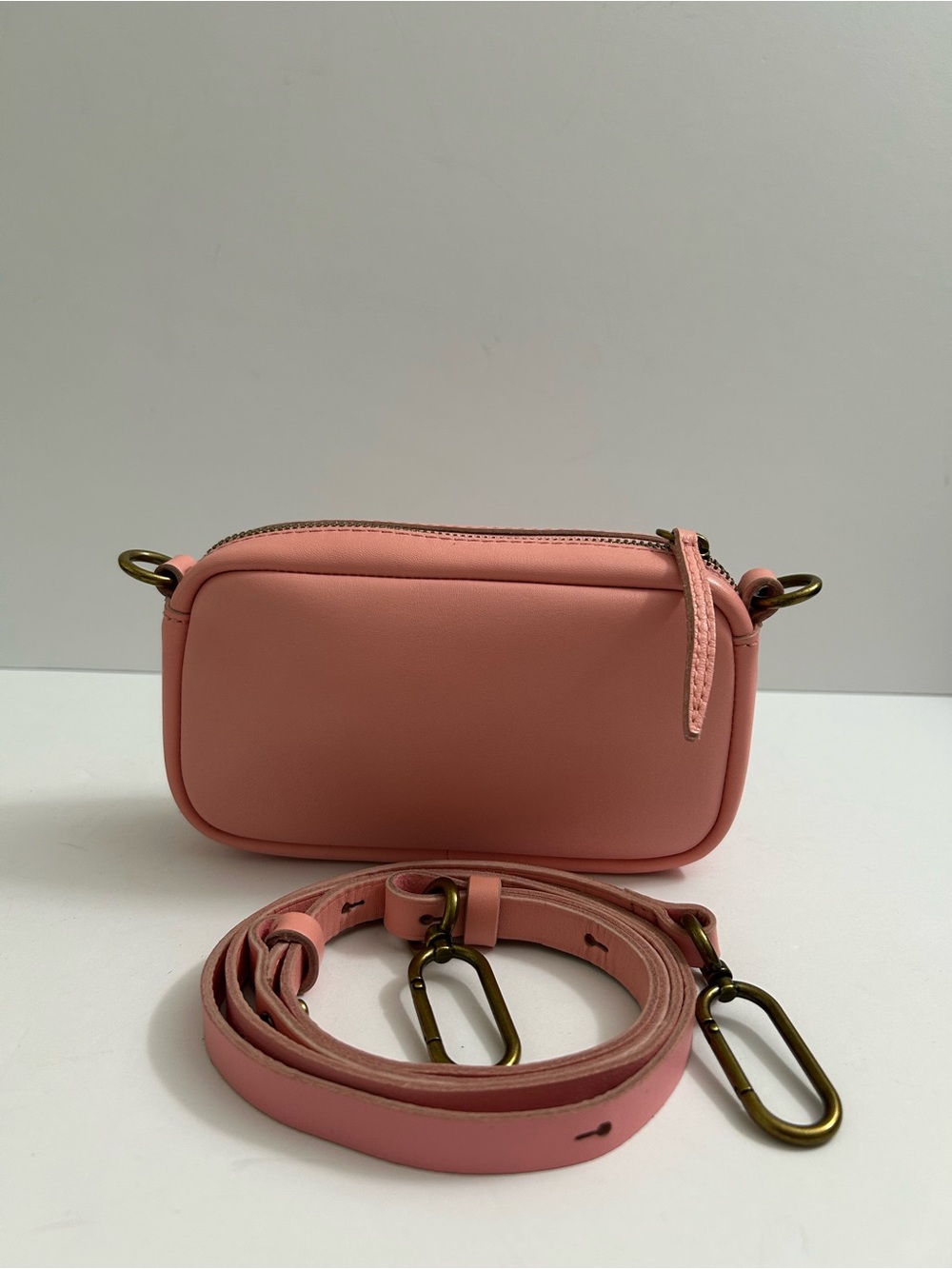 Madewell The Leather Carabiner Mini Crossbody Bag - Dried Blossom (color)
